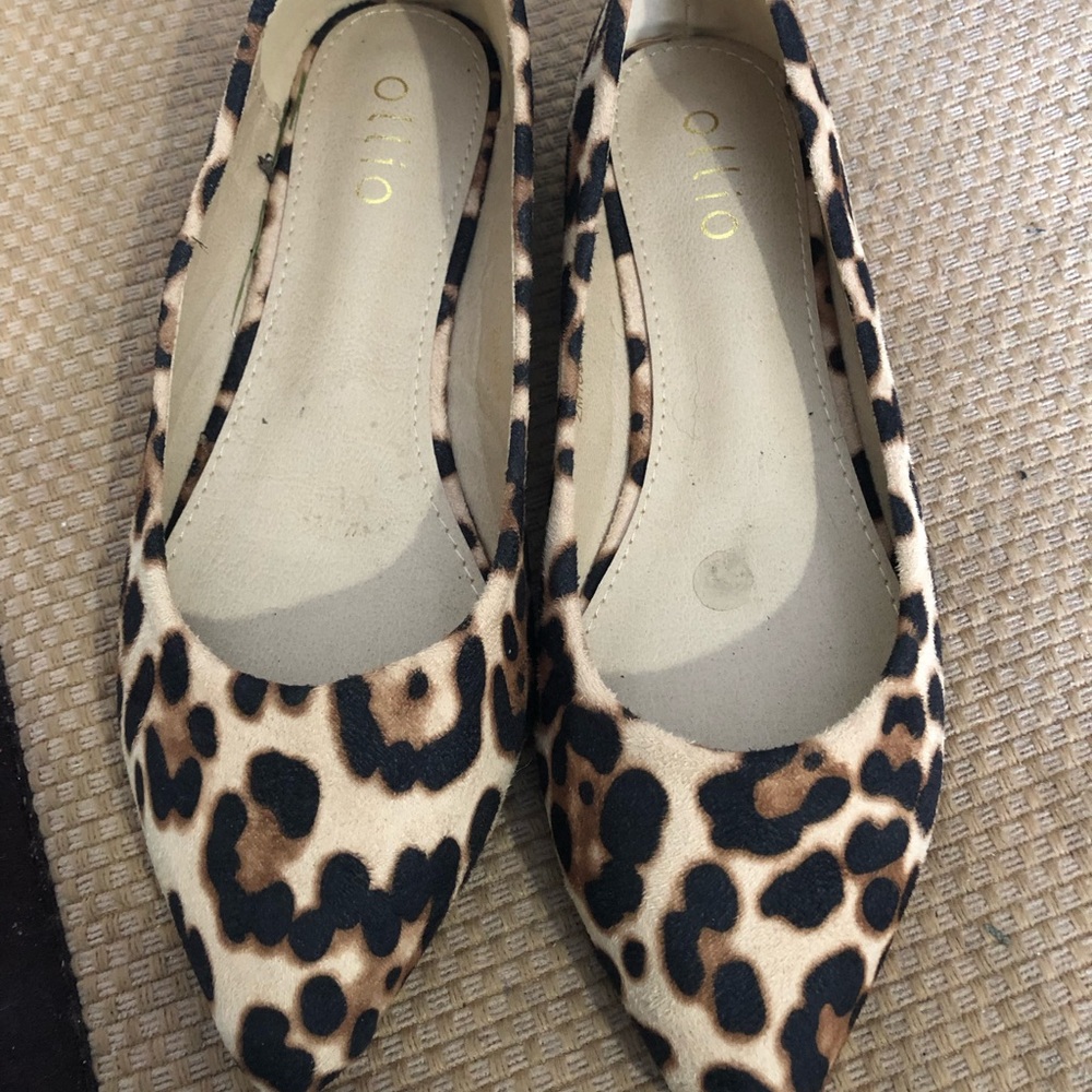 Leopard flat!